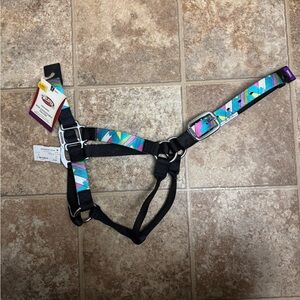 Weaver Colorful Non-Adjustable Horse Halter
